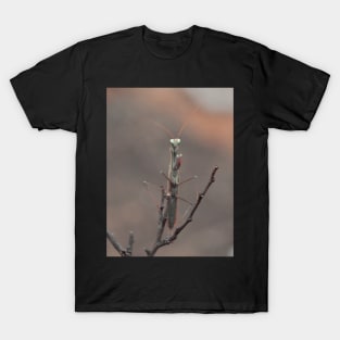 praying mantis T-Shirt